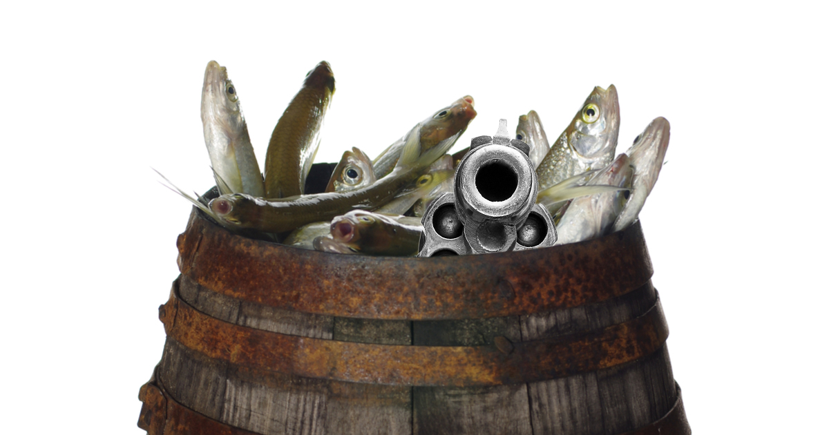 We Tried Shooting Fish in a Barrel but We Dropped the Gun and Now the Fish  Have the Gun and We're Scared