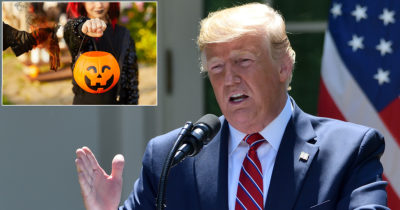 halloween, candy, voter, fraud, trump, orange, pumpkin, costume, cute