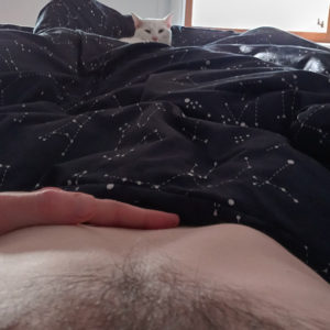 Cat Walking Across Belly Not Enough to Interrupt Man Masturbating