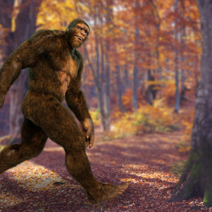 Gamer Captures Bigfoot at Atrocious 1080p Resolution