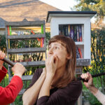 Librarians Break Kneecaps of Homeowner who Installed Little Free Library