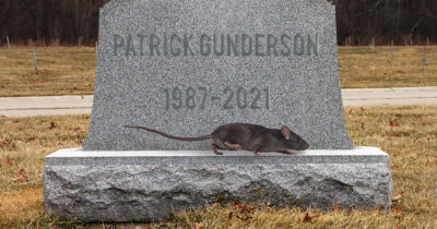 rat, punk, grave