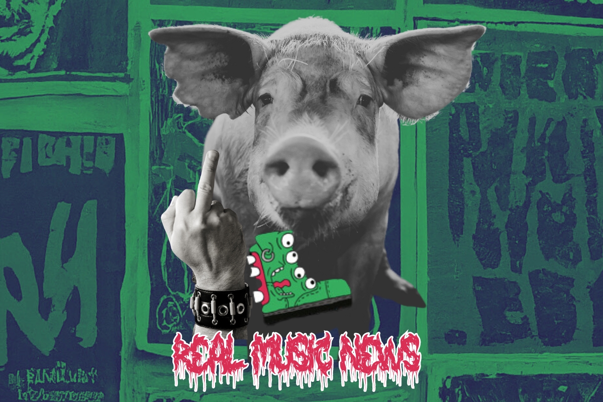 Hard Times Real Music News Black Metal Pigs Head