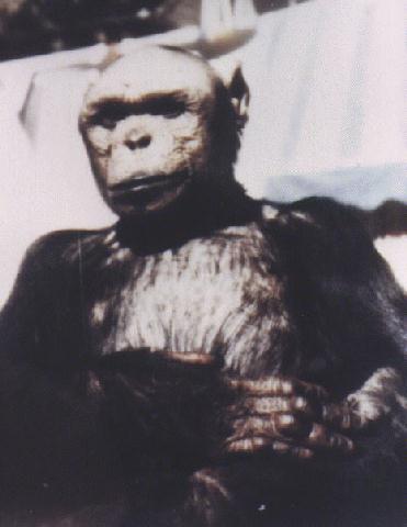 Ray Cappo without makeup. WOW!