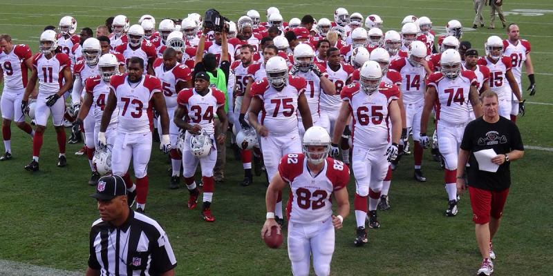 arizona cardinals, super bowl, super bowl lii, ambush, patriots, eagles, football, sports, sunday