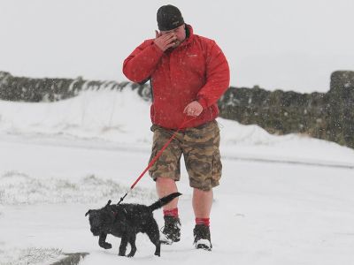 shorts, year round, cold, climate change, shorts guy, record temperature, shorts, cold,