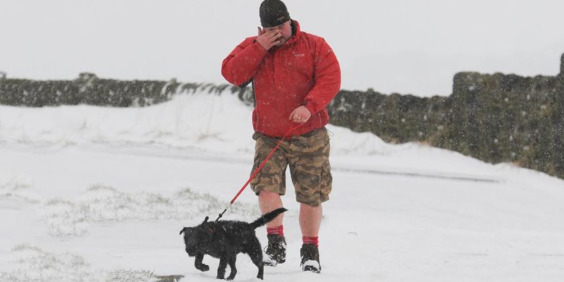 shorts, year round, cold, climate change, shorts guy, record temperature, shorts, cold,