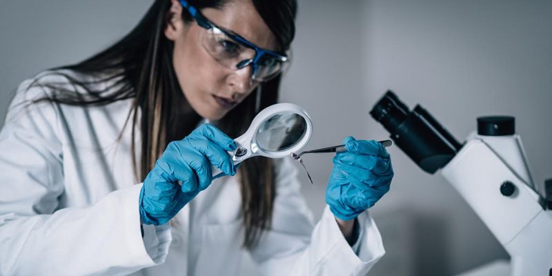 crime, lab, crime lab, stolen, fibers, csi, punk, show