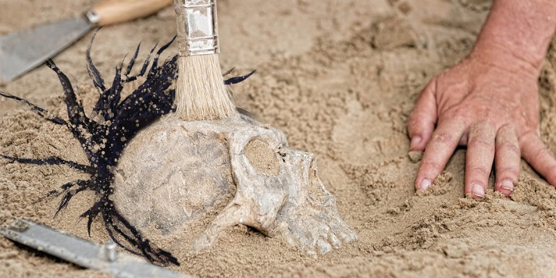 fossil, discovery, punk is dead