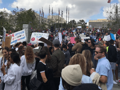 march for our lives, protest, gun control, reform