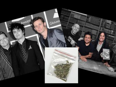 green day, nofx, trade, weed, band, members