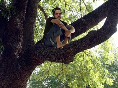 punk, crust punk, demolition, tree, save, eco