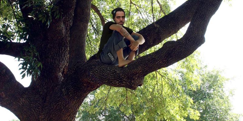 punk, crust punk, demolition, tree, save, eco