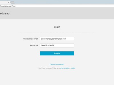 bandcamp, password, report, name
