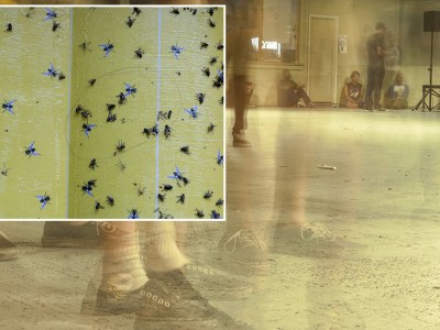 flypaper, venue, floor