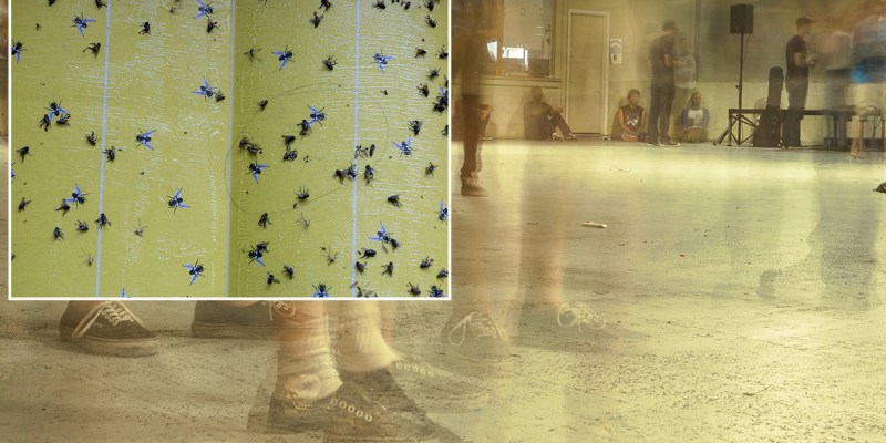 flypaper, venue, floor