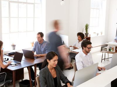 programmer, nerds, apps, develop