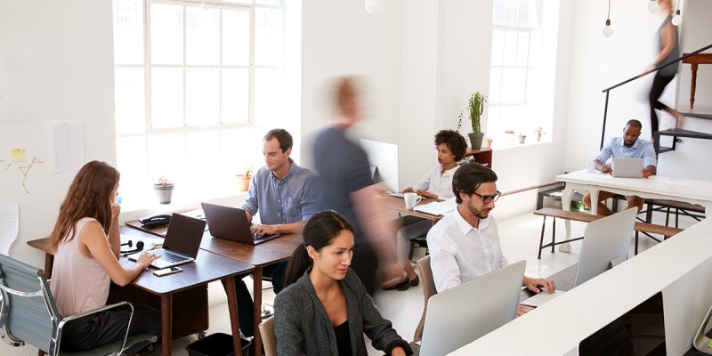 programmer, nerds, apps, develop