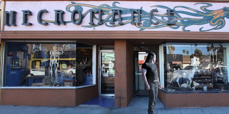 danzig, halloween, royalty check