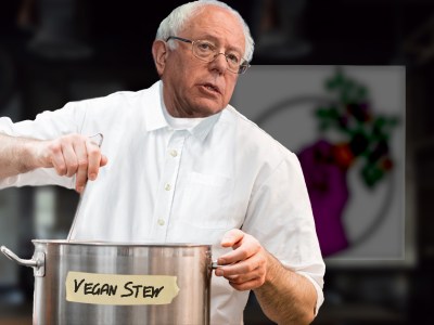 bernie sanders, food not bombs, lentil stew