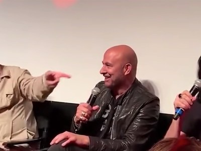 ramone, sex pistols, fight