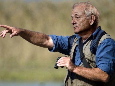 wes anderson, bill murray, birdwatching