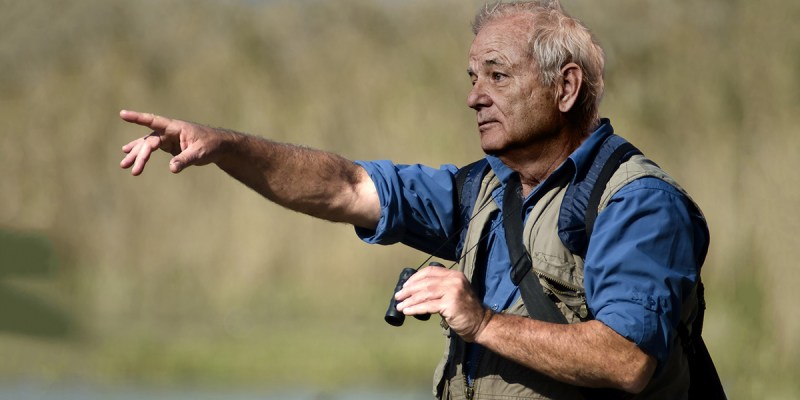 wes anderson, bill murray, birdwatching