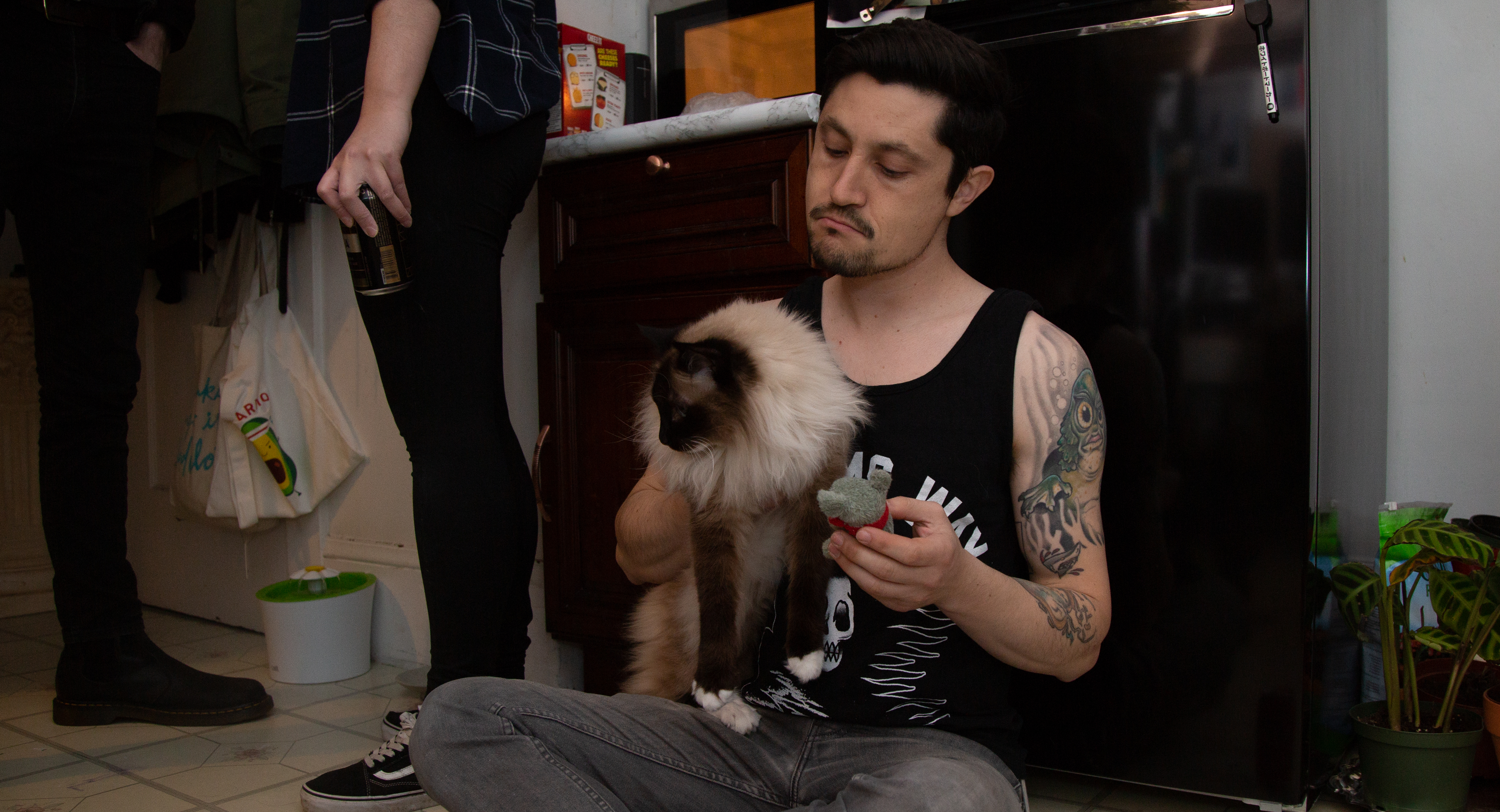 straight edge, party, cat