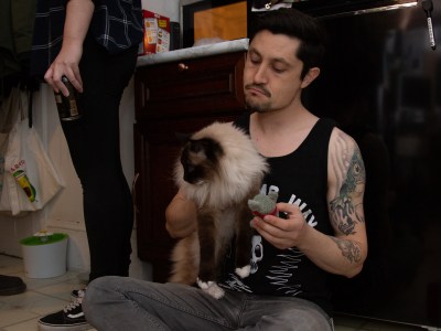 straight edge, party, cat