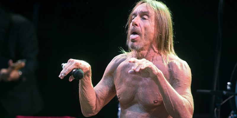 iggy, pop. obituary, iggy pop