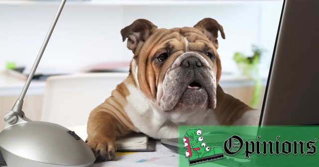 Opinion: THERE’S A DOG IN THE OFFICE TODAY!!!!!
