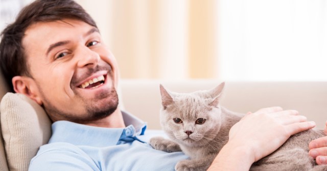 We Sit Down With the Sick, Sad Man Who Allows Websites to Send Him Desktop Notifications