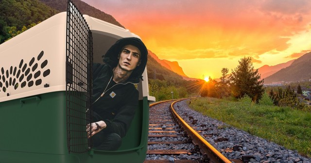 Scene Conservationists Release Rehabilitated Crust Punk Back Into Wild