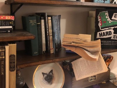 punk, the hard times the first forty years, book, preorder