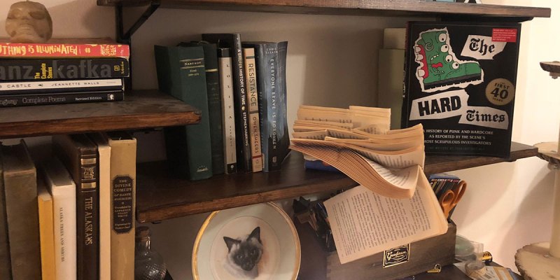 punk, the hard times the first forty years, book, preorder