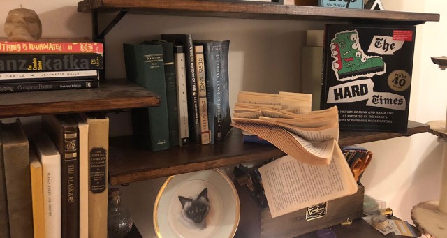 Hard Times Book Beats the Fuck out of Dean Koontz Novel on Bookshelf