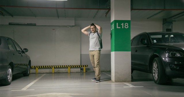 Stoned Driver Can’t Remember Where Tesla Parked Self