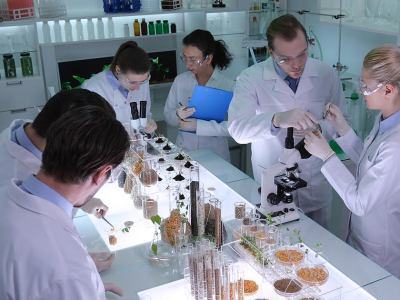 quarterlife, crisis, midlife, climate change