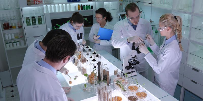 quarterlife, crisis, midlife, climate change