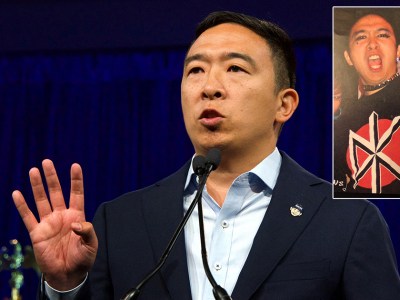 punkface, yang, yang gang, 2020