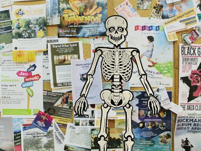 paper, skeleton, bulletin board, headline, library