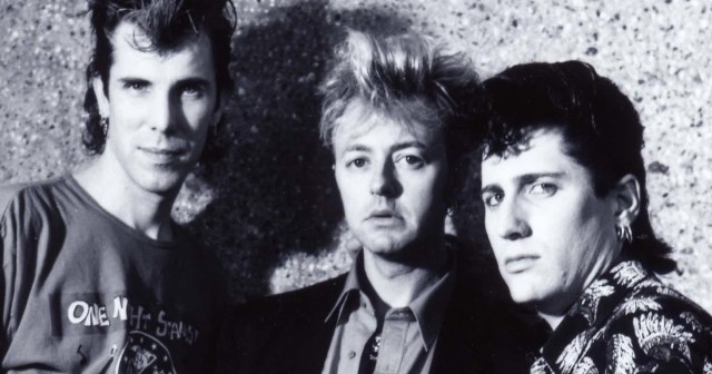 We Interviewed the Stray Cats and They All Threw up on Our Couch