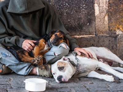 aspic, leftover crack, crust punk