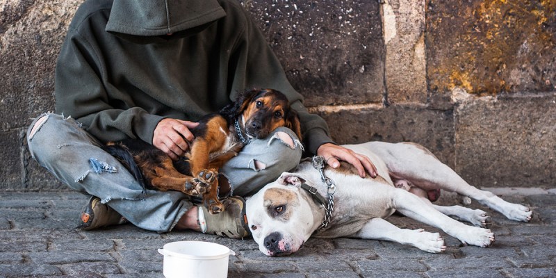 aspic, leftover crack, crust punk