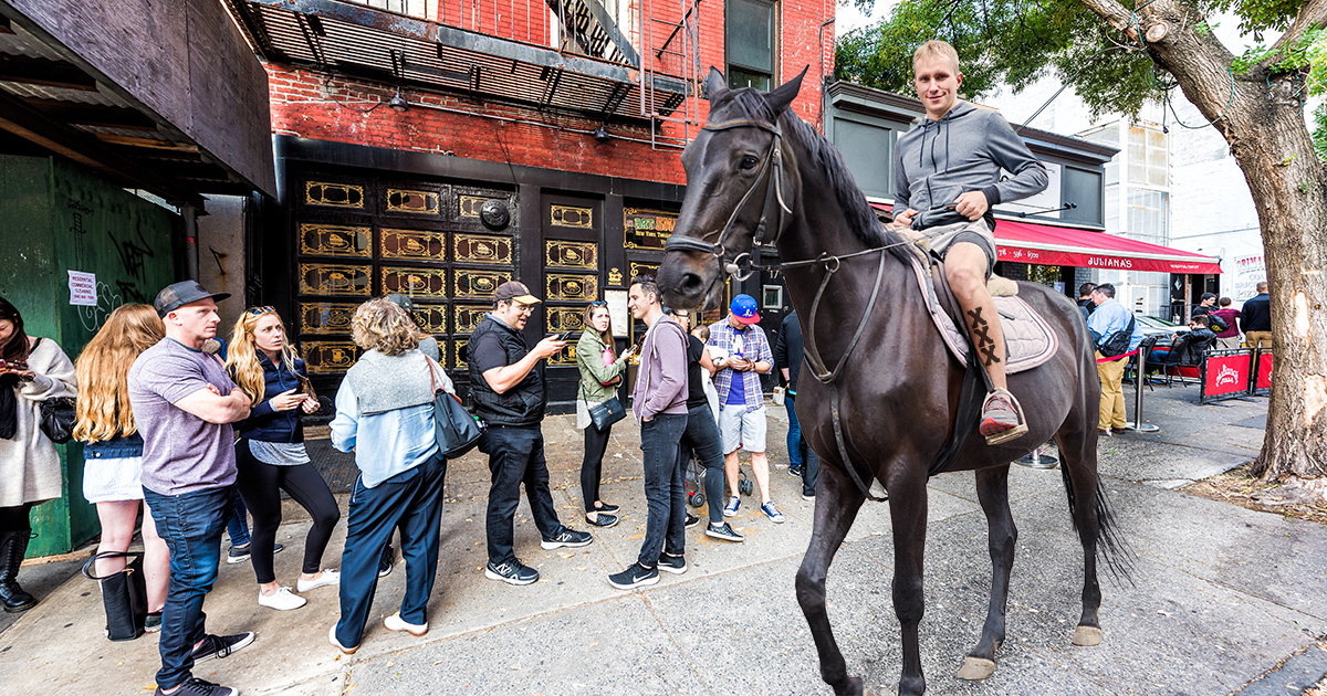straight edge, high horse,