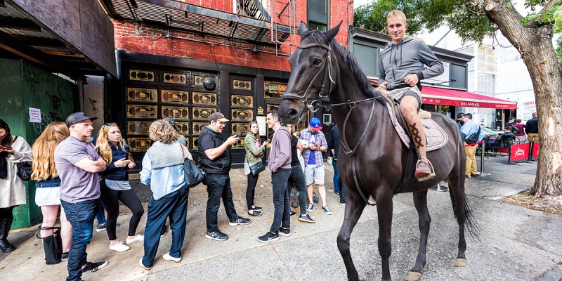 straight edge, high horse,