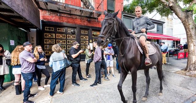 Straight Edge Man Attends Show on High Horse