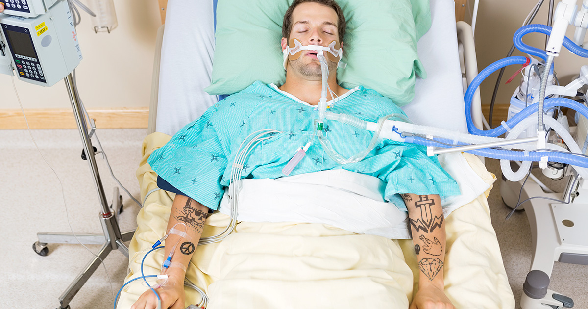 bassist, life support, unplugged
