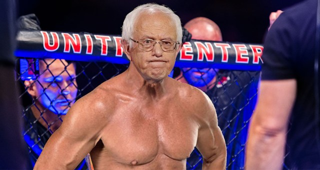Rogan Endorsement Final Push Sanders Needed to Enter Octagon