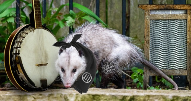 Stop Asking Me to Play Folk Punk Just Because I’m an Opossum